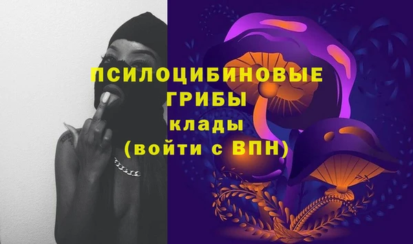 ECSTASY Костерёво