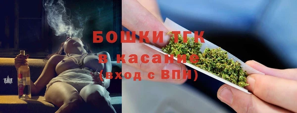 ECSTASY Костерёво