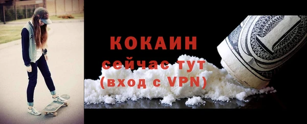ECSTASY Костерёво