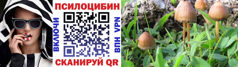 Купить закладки  Боровск  Псилоцибиновые грибы прущие грибы 